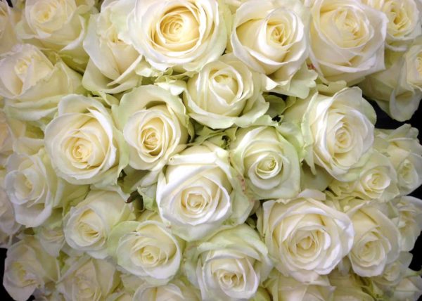 livraison fleurs bordeaux bouquet de roses blanches Réalisation Carré Roses fleuriste Bordeaux