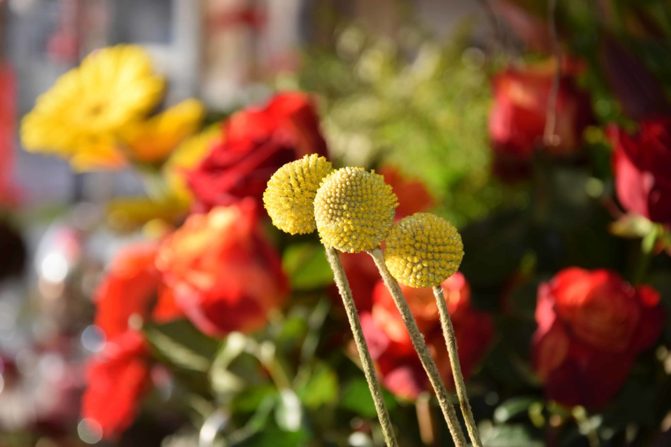 fleurs bordeaux begles floirac bouquet livraison