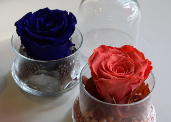 rose-éternelle-fleuriste-bordeaux-décoration-cadeau-anniversaire