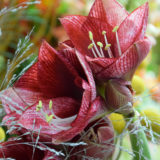 artisan fleuriste bordeaux bègles