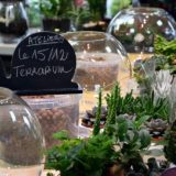 ateliers terrarium fleuriste bordeaux -begles