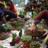 atelier terrarium en entreprise bordeaux