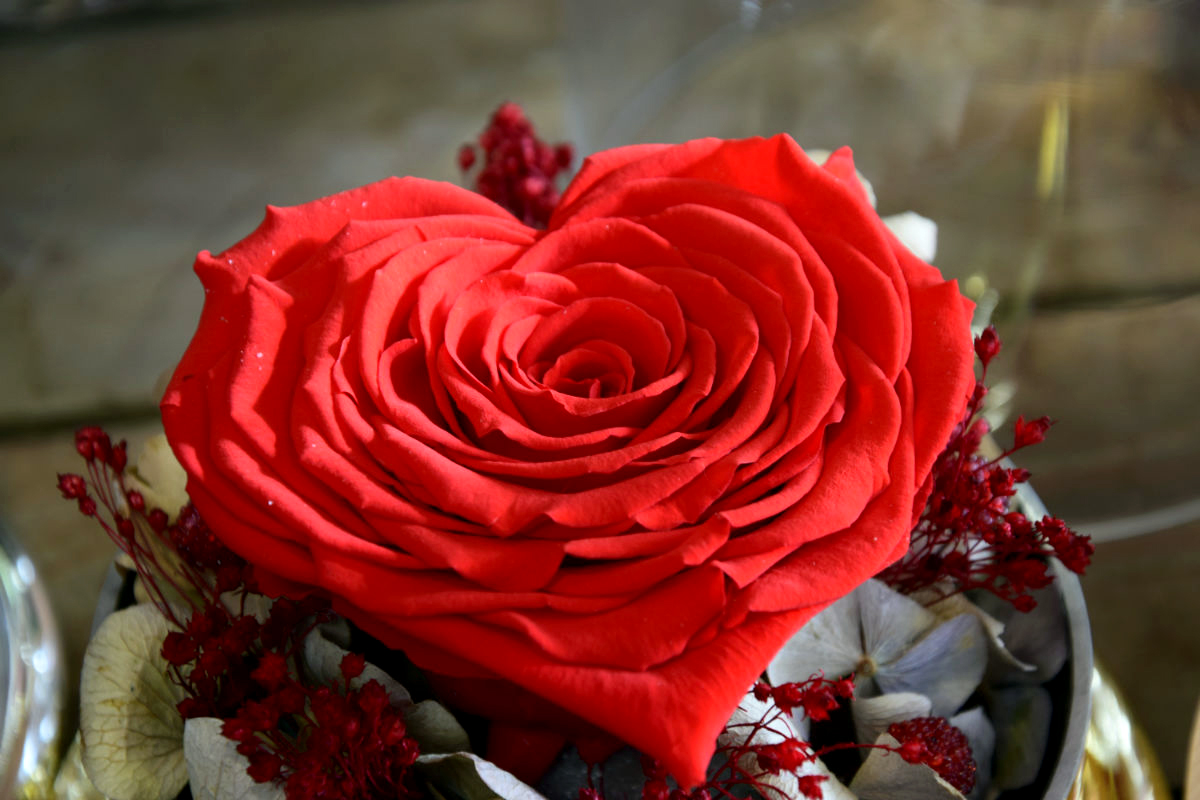 Origines De La Saint Valentin Carré Roses Fleuriste à Bordeaux