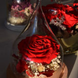 rose eternelle cloche carre roses