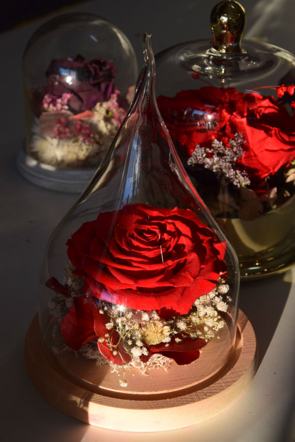 rose eternelle cloche carre roses