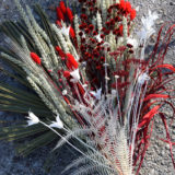 bouquet fleurs séchées rouge Bègles